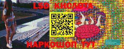 стафф Краснознаменск